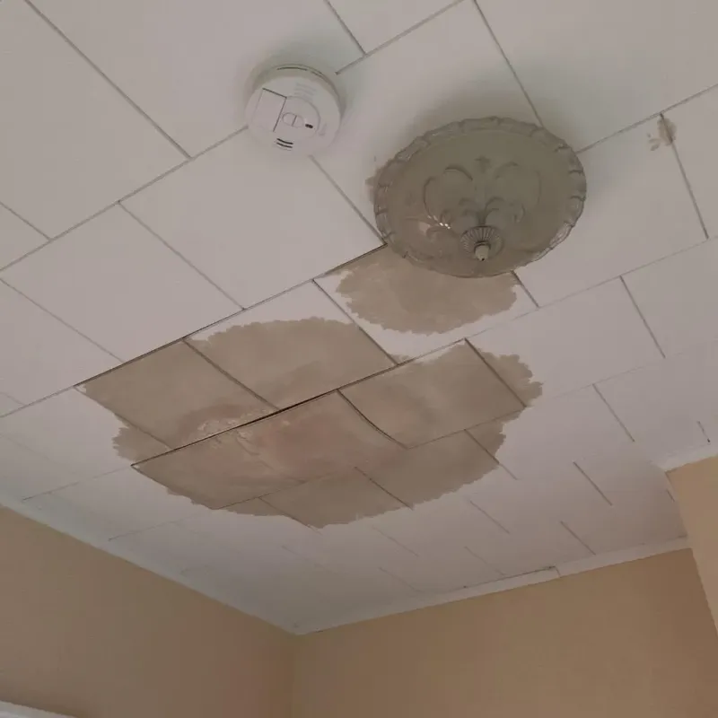 Ceiling Water Damage Repair in Monticello, IA