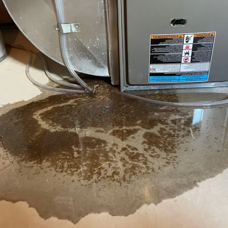 Pipe Burst and Leak Restoration in Monticello, IA