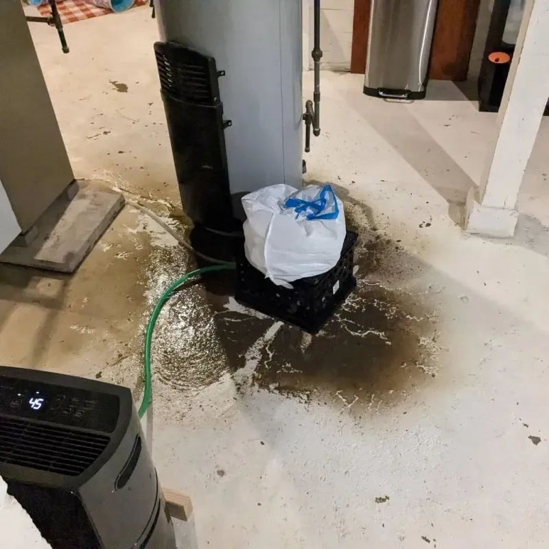Sewage Backup Cleanup Service in Monticello, IA